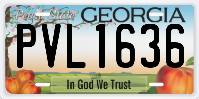 GA license plate PVL1636