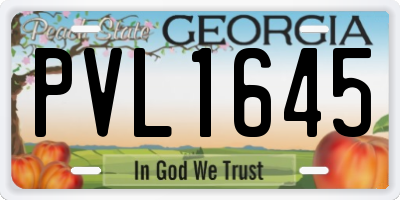 GA license plate PVL1645