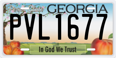 GA license plate PVL1677