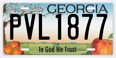 GA license plate PVL1877