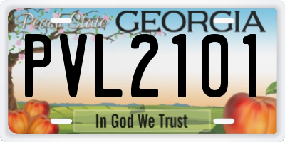 GA license plate PVL2101