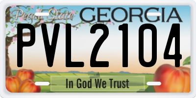 GA license plate PVL2104