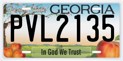 GA license plate PVL2135