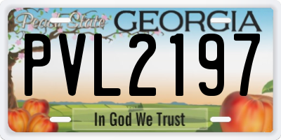 GA license plate PVL2197