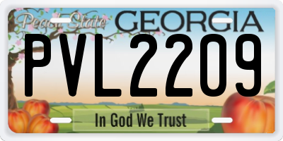 GA license plate PVL2209