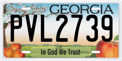 GA license plate PVL2739