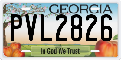 GA license plate PVL2826