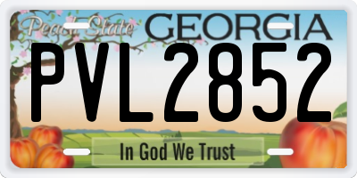 GA license plate PVL2852