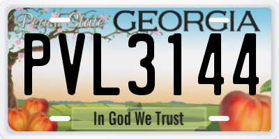GA license plate PVL3144
