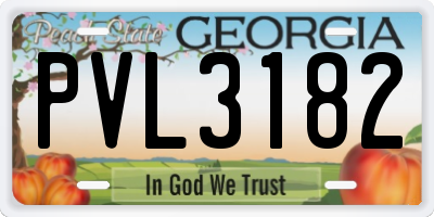GA license plate PVL3182