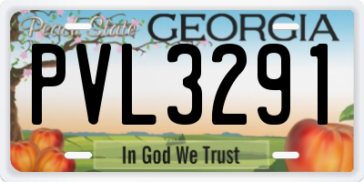 GA license plate PVL3291