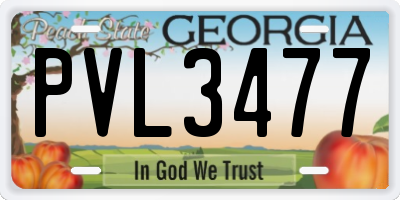 GA license plate PVL3477