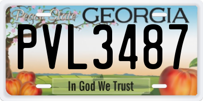 GA license plate PVL3487