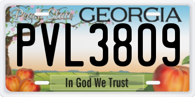 GA license plate PVL3809