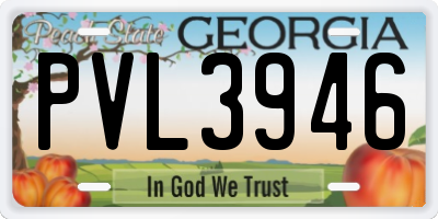 GA license plate PVL3946