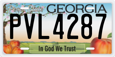 GA license plate PVL4287