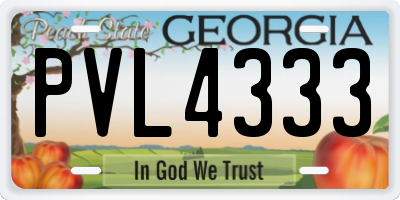 GA license plate PVL4333