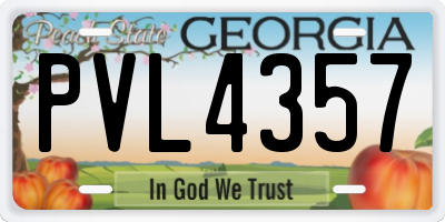 GA license plate PVL4357