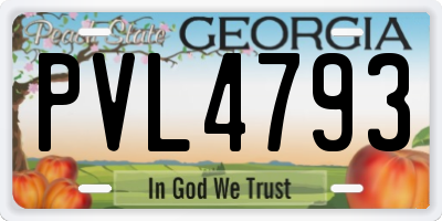 GA license plate PVL4793
