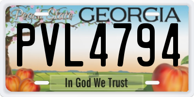 GA license plate PVL4794