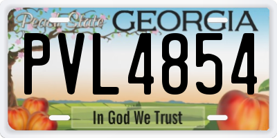 GA license plate PVL4854