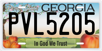 GA license plate PVL5205
