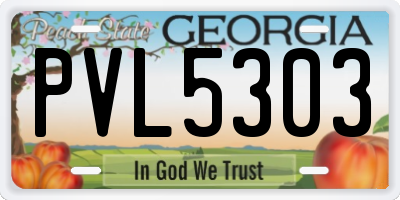 GA license plate PVL5303
