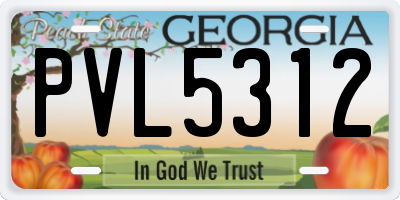 GA license plate PVL5312