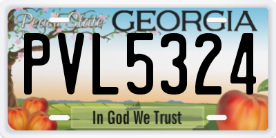 GA license plate PVL5324