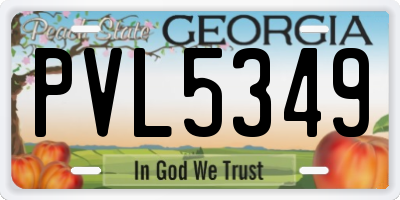 GA license plate PVL5349