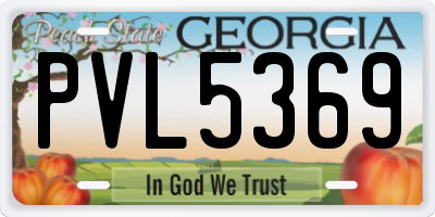 GA license plate PVL5369