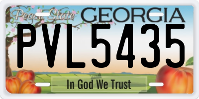 GA license plate PVL5435