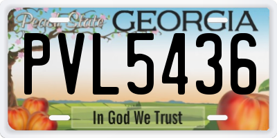 GA license plate PVL5436