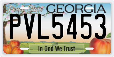 GA license plate PVL5453