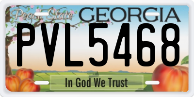 GA license plate PVL5468