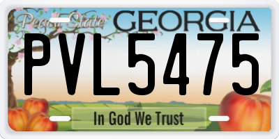 GA license plate PVL5475