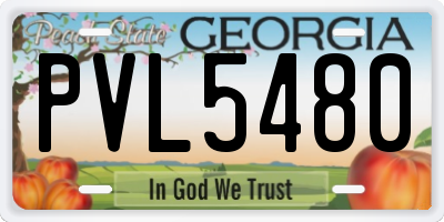 GA license plate PVL5480