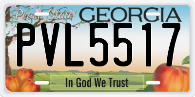 GA license plate PVL5517