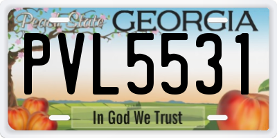 GA license plate PVL5531
