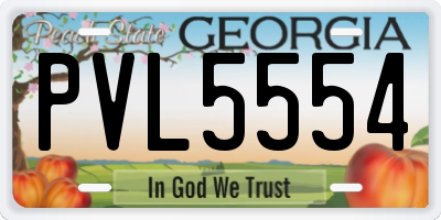 GA license plate PVL5554