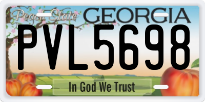 GA license plate PVL5698