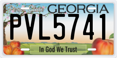 GA license plate PVL5741
