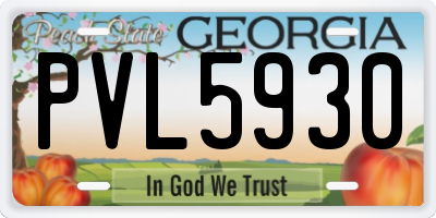 GA license plate PVL5930