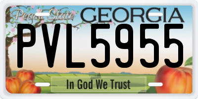 GA license plate PVL5955