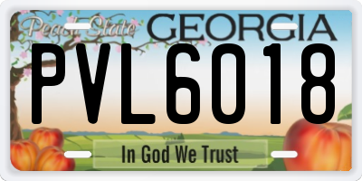 GA license plate PVL6018