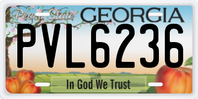 GA license plate PVL6236