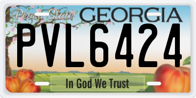 GA license plate PVL6424