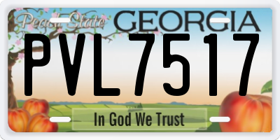 GA license plate PVL7517