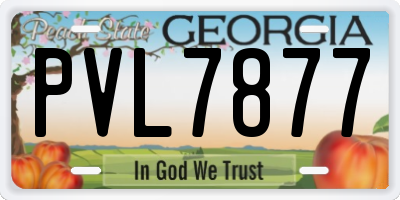 GA license plate PVL7877