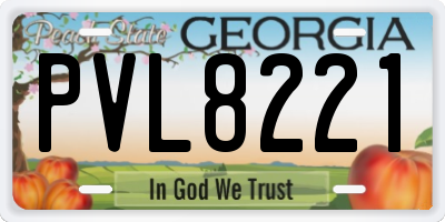 GA license plate PVL8221